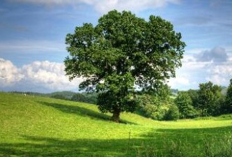 哈尔滨自驾长白山几天 哈尔滨自驾长白山几天到达